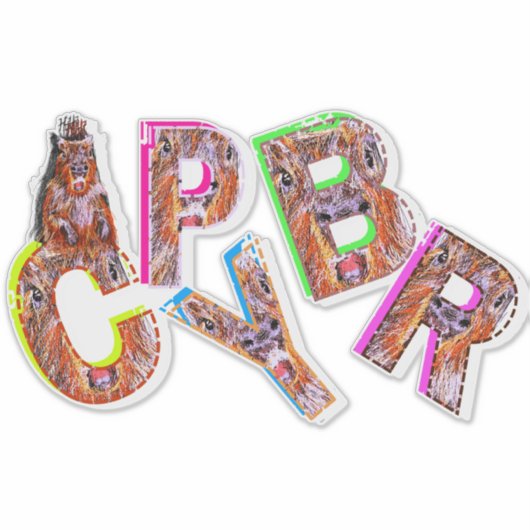 キャピバラ シール (正面)