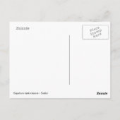 キャピバ食べラズグラス ポストカード (裏面)