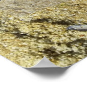 キャフ来引用文ポスターで頑張って ポスター (角)