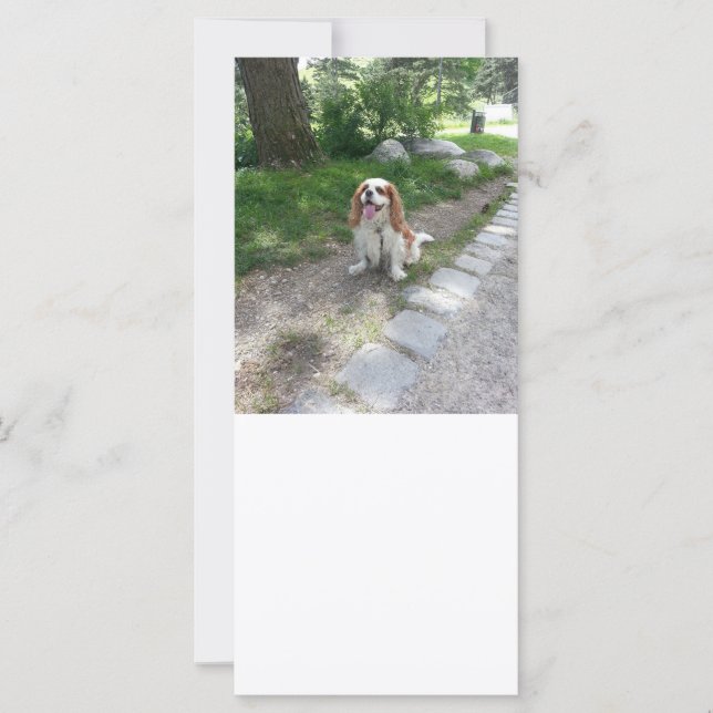 キャブ座 (正面)