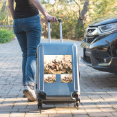 キャプチャー、海賊黒ひげ、アン女王の復讐 シール (スーツケースインサイチュ)