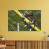 キャプティブタピハラカツリーフロージロスキルタス キャンバスプリント (インサイチュ (リビング))