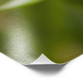 キャプティブタピハラカツリーフロージロスキルタス フォトプリント (角)