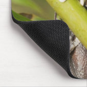 キャプティブタピハラカツリーフロージロスキルタス マウスパッド (コーナー)