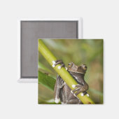 キャプティブタピハラカツリーフロージロスキルタス マグネット (正面/裏面)