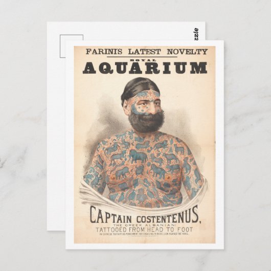 キャプテンコステンヌスタトワッドヴィンテージ ポストカード (正面/裏面)