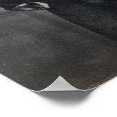 キャプテンロバート《鳥》ハヤブサスコット ポスター (角)