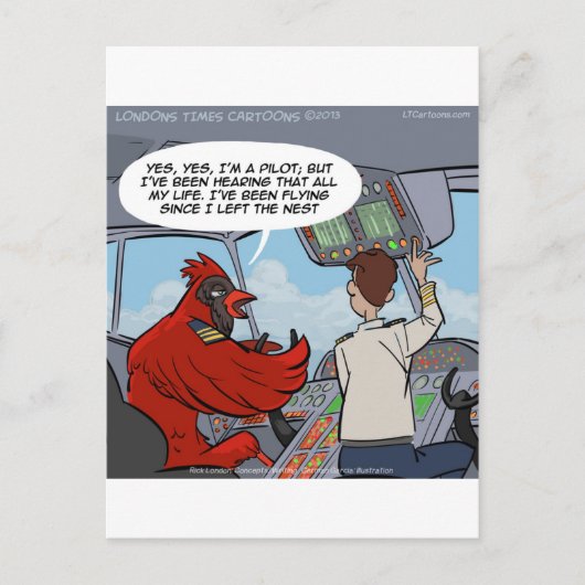 キャプテン・バードがジャンボジェット機を飛おもしろいばす ポストカード (正面)