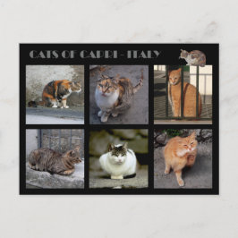 キャプリの猫 – イタリア ポストカード