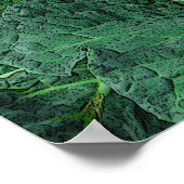 キャベツのサボイ ポスター (角)