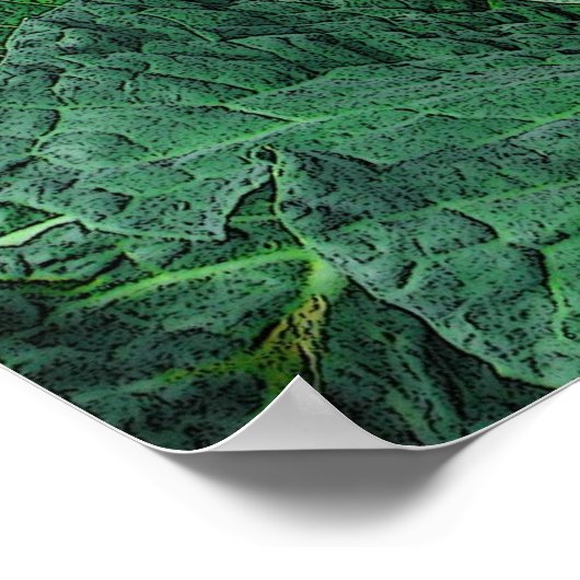 キャベツのサボイ ポスター (角)