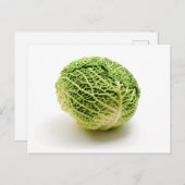キャベツのサボイ ポストカード (正面/裏面)