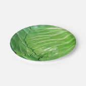 キャベツの頭 ペーパープレート (アングル)