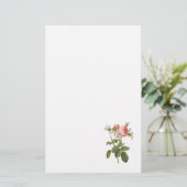 キャベツは(ローザのcentifoliaのfoliacea)上がりましたRedoutéによって 便箋 (スタンド正面)