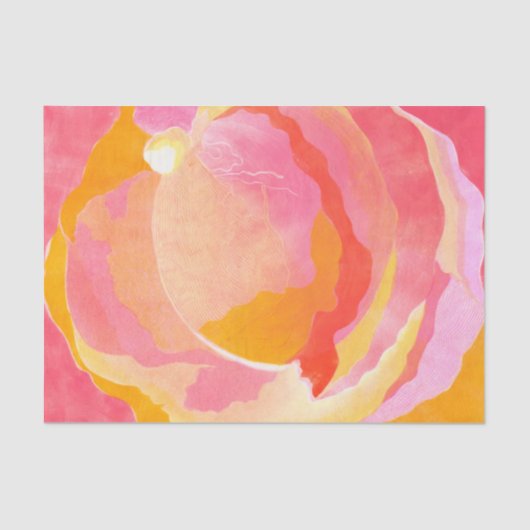 キャベツはIII上がりました 薄葉紙 (正面)