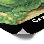 キャベツカードシードCo.パケットヴィンテージフレドニア ポスター (角)