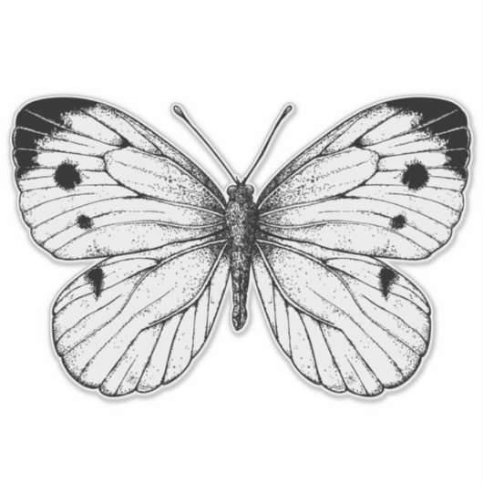 キャベツバタフライ シール (正面)