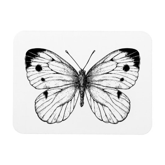 キャベツバタフライ マグネット (横)