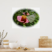 キャベツバタフライ《植物》百日草 ポスター (キッチン)