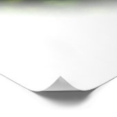 キャベツバタフライ《植物》百日草 ポスター (角)