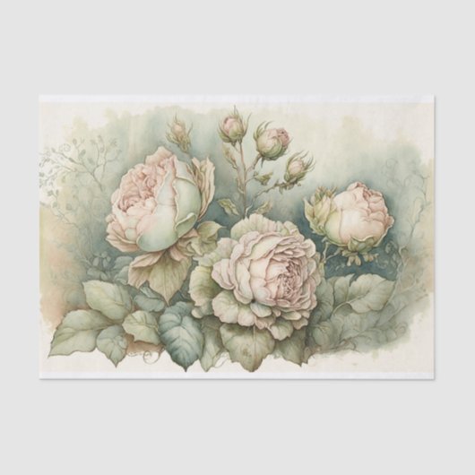 キャベツバラと緑のハイライト 薄葉紙 (正面)