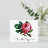 キャベツバラはがき ポストカード (スタンド正面)