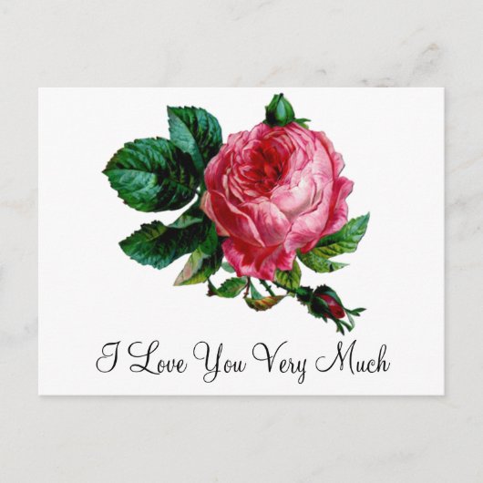 キャベツバラはがき ポストカード (正面)