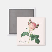 キャベツバラ植物性プリント マグネット (正面/裏面)