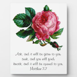 キャベツバラ聖なる書物、 経典斑 フォトプラーク