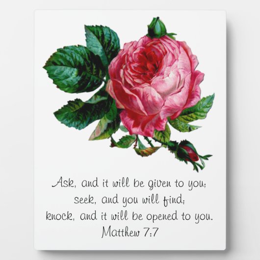 キャベツバラ聖なる書物、 経典斑 フォトプラーク (正面)