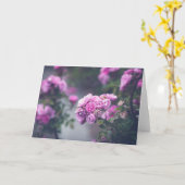 キャベツバラ カード (黄色い花)