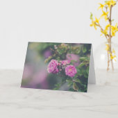 キャベツバラ カード (黄色い花)