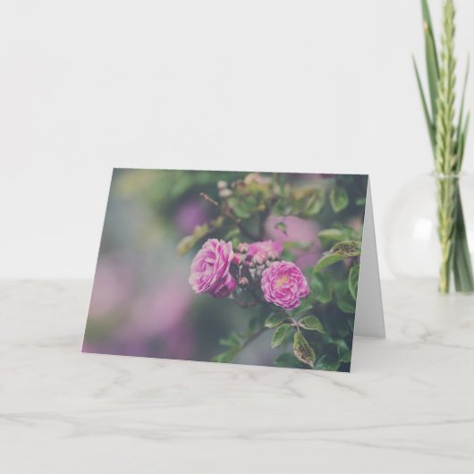 キャベツバラ カード (正面)