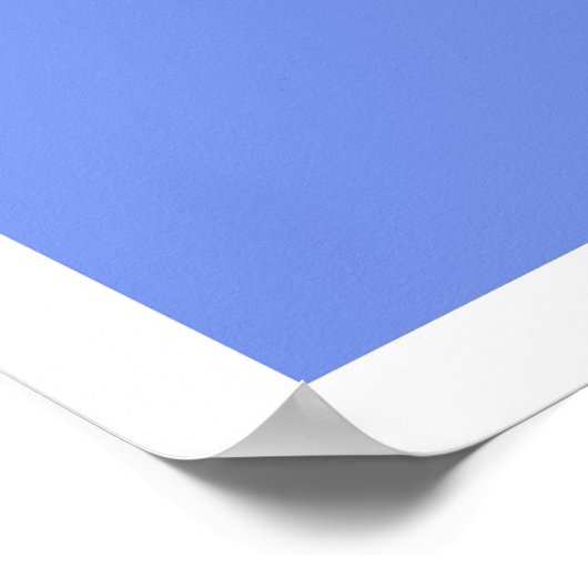 キャベツバラ ポスター (角)