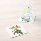 キャベツバラ（葉緑虫）by Redout スクエアペーパーコースター (インサイチュ)