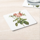 キャベツバラ（葉緑虫）by Redout スクエアペーパーコースター (アングル)