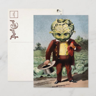 キャベツビクトリアンの頭はがき ポストカード