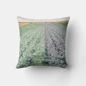 キャベツフィールド: green&purple クッション (裏面)