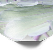 キャベツフォトプリント フォトプリント            (角)