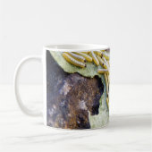 キャベツホワイトキャタモラバマグ コーヒーマグカップ (左)