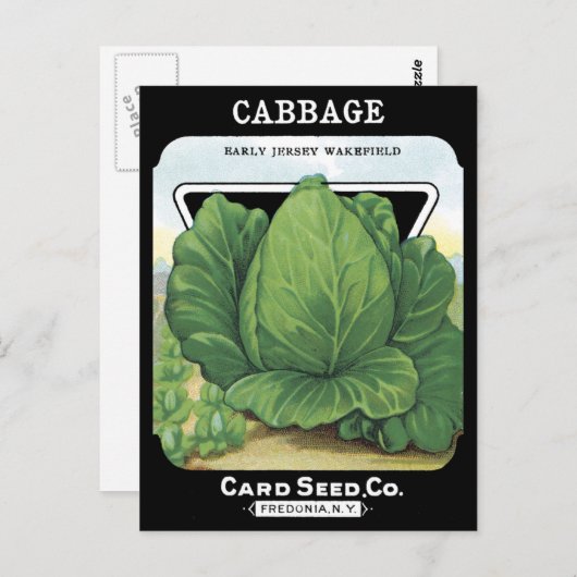 キャベツヴィンテージ種子パケット野菜の葉の緑 ポストカード (正面/裏面)