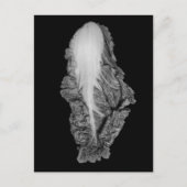 キャベツ中国のポートレート写真 ポストカード (正面)