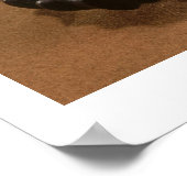 キャベツ中国の、韓国、19世紀(玉) ポスター (角)