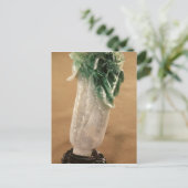 キャベツ中国の、韓国、19世紀（玉） ポストカード (スタンド正面)