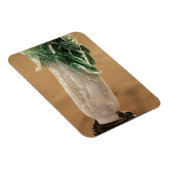 キャベツ中国の、韓国、19世紀（玉） マグネット (右側)