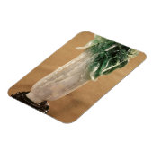 キャベツ中国の、韓国、19世紀（玉） マグネット (左側)