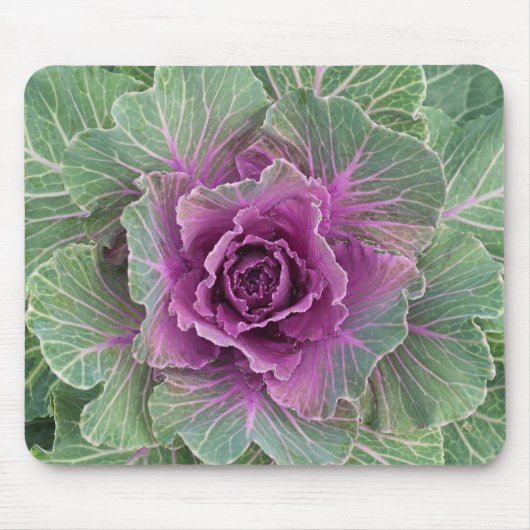 キャベツ植物 マウスパッド (正面)