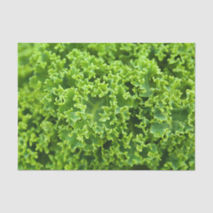 キャベツ模様 薄葉紙