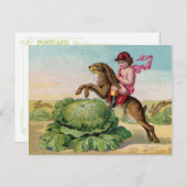 キャベツ素晴らしパッチ障害 ポストカード (正面/裏面)