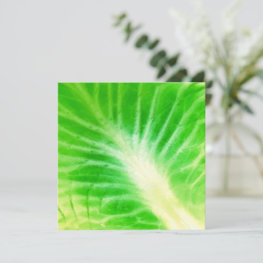 キャベツ葉 (スタンド正面)